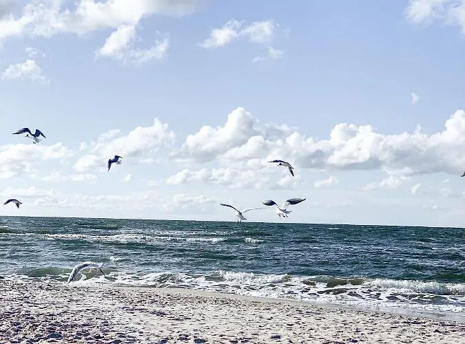 Apartament Morski Widok *